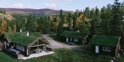 Bilde av hyttetun
