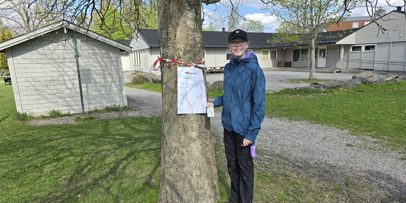 Bilde fra trimbingo