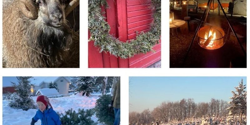 Juletregården Lia Nordre