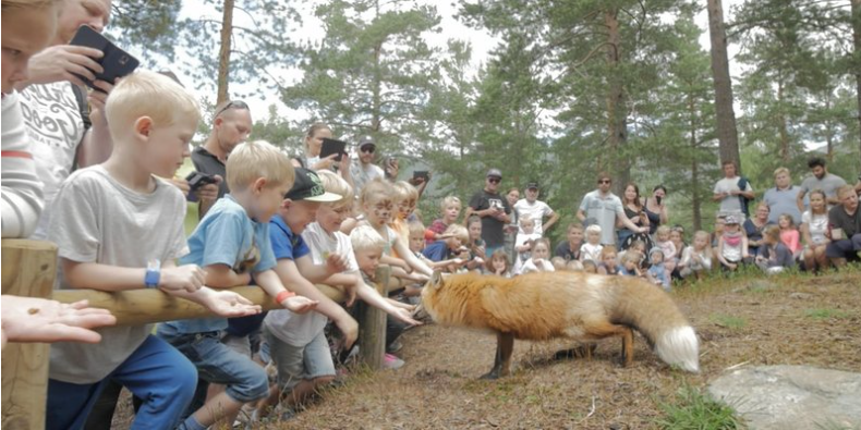 Bjørneparken på Flå
