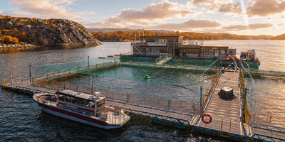 Fiskemeren til Engesund en høstdag (This image is AI generated.)
