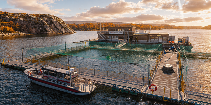 Fiskemeren til Engesund en høstdag (Dette bildet er generert av KI)
