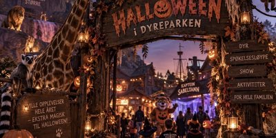 Bilde viser halloween i Dyreparken.