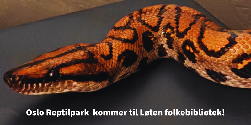 slange
