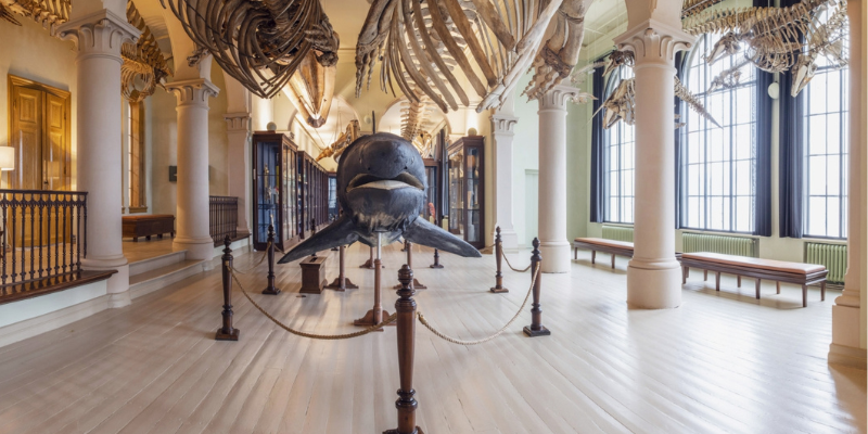 museum