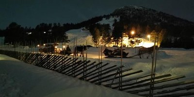 Kanefart på Savalen