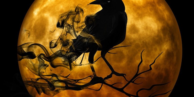 kråke (This image is AI generated.)