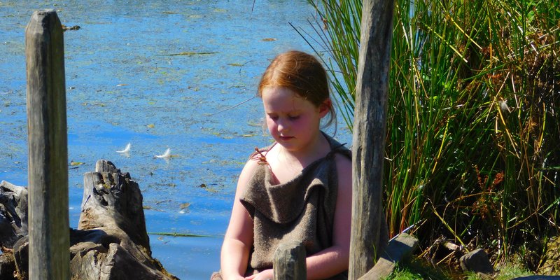 Vikingsommer