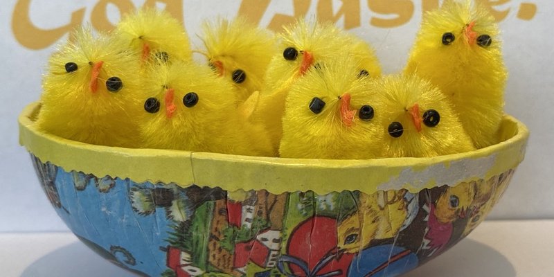 Små gule kyllinger i ett påskeegg.